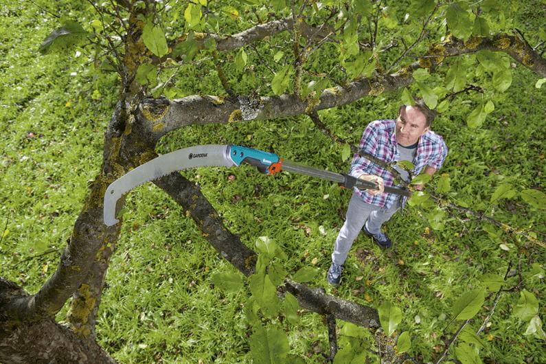 CS Dārza zāģis 300 PP (izliekts) - MD Tehnika