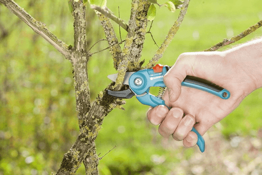 Classic Laktveida dārza grieznes - MD Tehnika