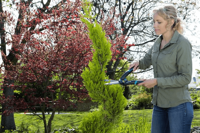 Dzīvžogu grieznes PrecisionCut - MD Tehnika