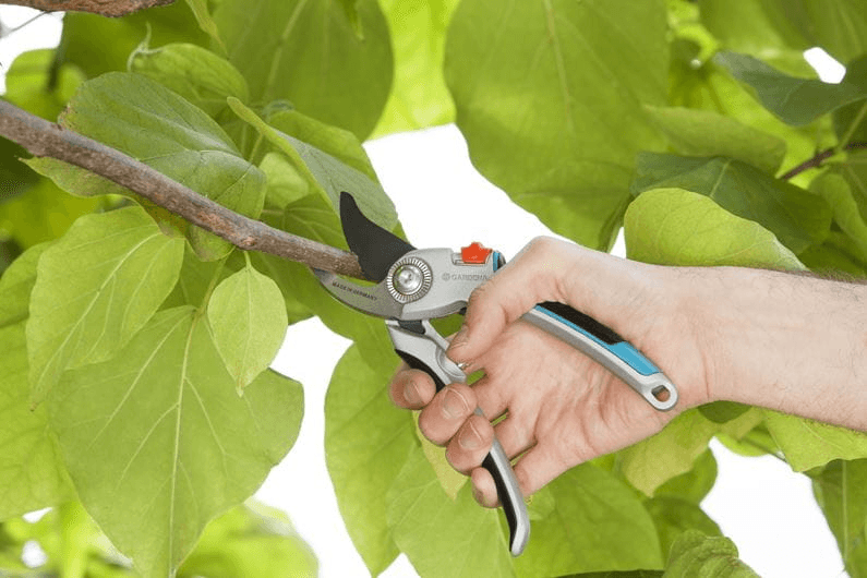 Comfort Alumīnija dārza grieznes B/L - MD Tehnika