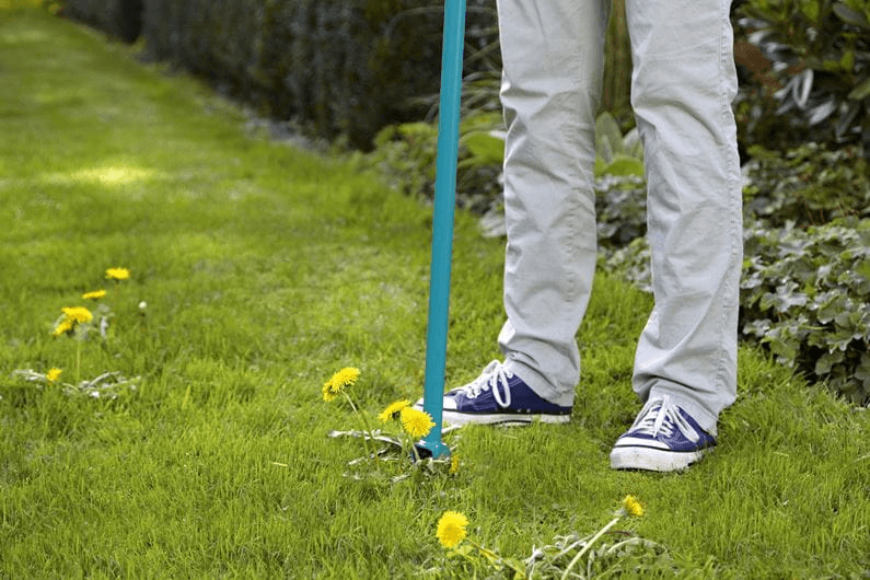 Nezāļu ravētājs - MD Tehnika