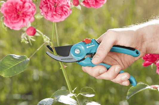 Sekators Classic - MD Tehnika