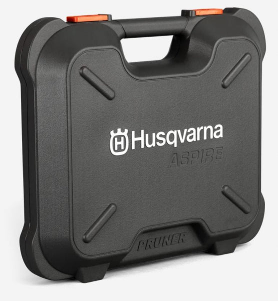 Kaste Aspire zaru zāģim