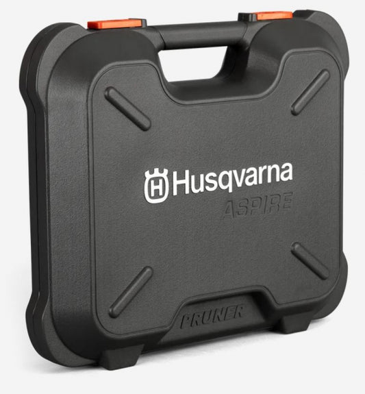 Kaste Aspire zaru zāģim