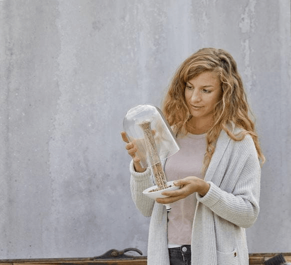 ClickUp! Putnu barotava - MD Tehnika