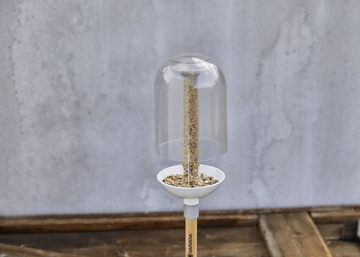 ClickUp! Putnu barotava - MD Tehnika