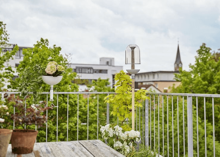 ClickUp! Putnu barotava - MD Tehnika