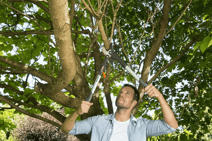 Zaru grieznes SmartCut - MD Tehnika