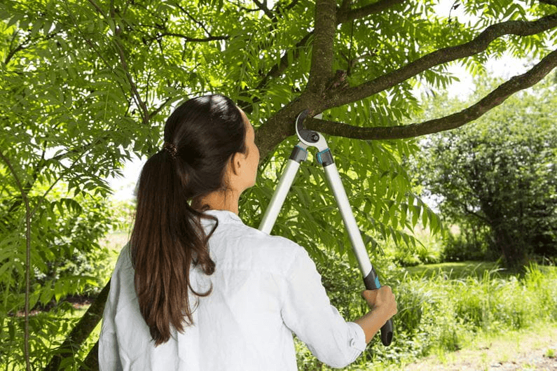 Zaru knaibles EasyCut 680 A - MD Tehnika